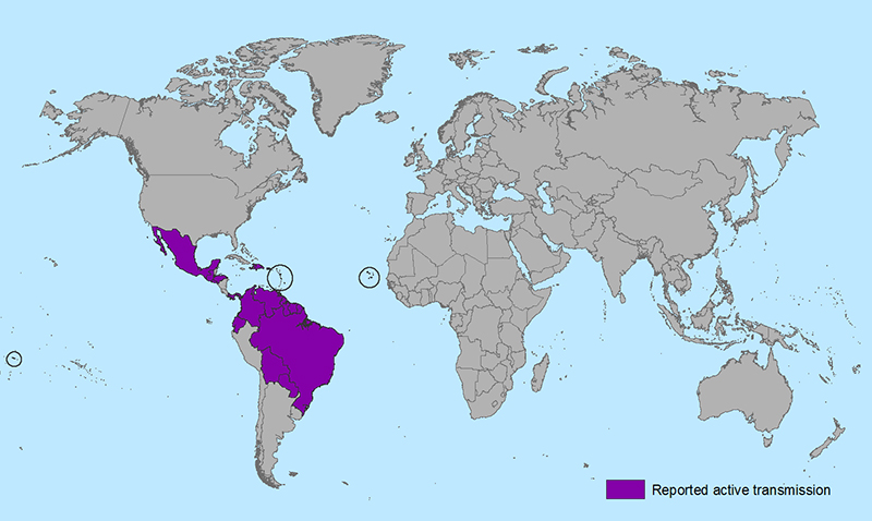 Zika Virus affected Areas in the Globe